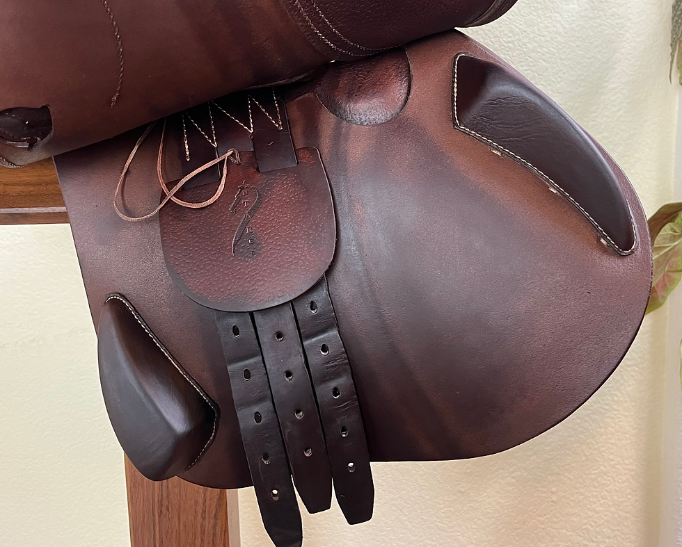 Thumbnail: 2016 Antarès Comfort 17" 2AA, L, #162633