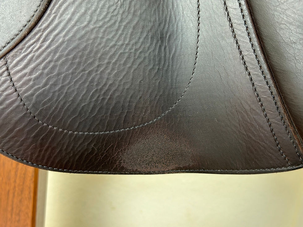 Thumbnail: 2023 Antares Connexion 17.5" 3AB, Full Buffalo