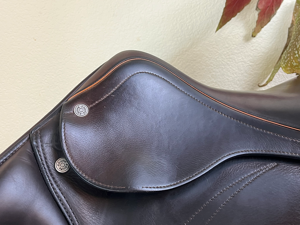 Thumbnail: 2022 Equipe Expression 17", Medium Tree, Full Calfskin #N0366610422