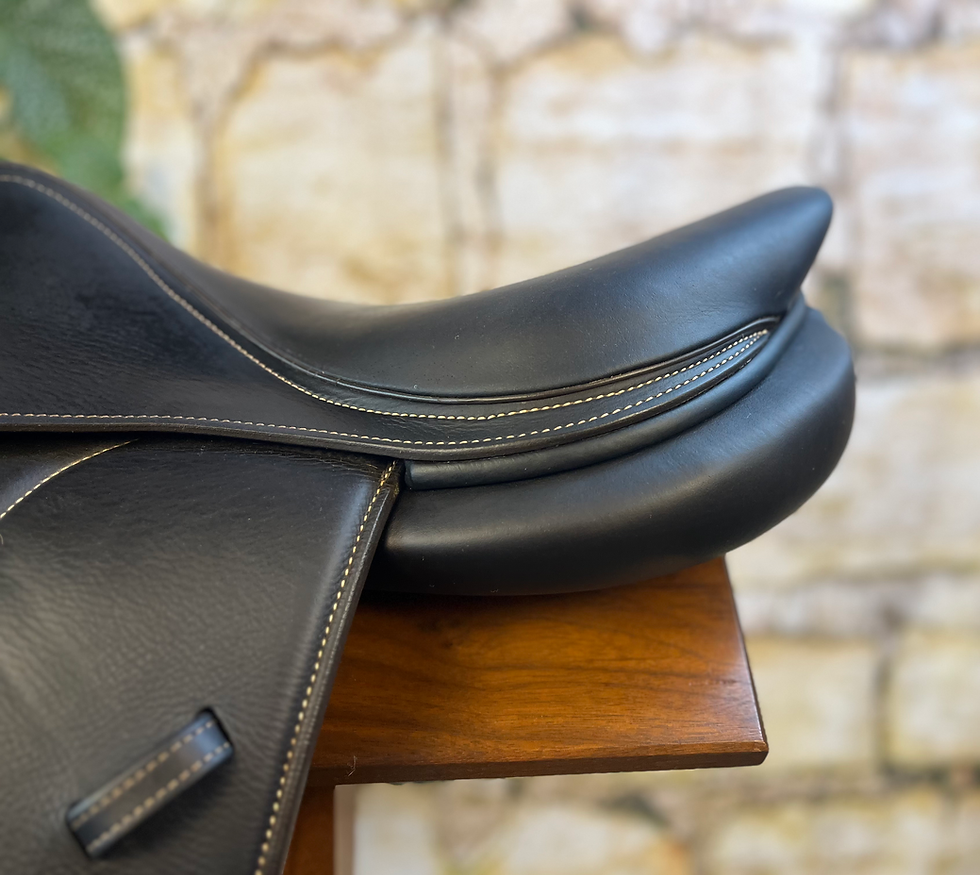 Thumbnail: 2022 Voltaire Palm Beach 16.5" 1A, Full Buffalo, Second Skin #301522