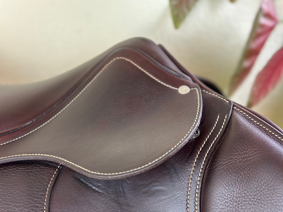 Thumbnail: 2024 Antares Connexion 17.5" 2A, Full Calfskin, DEMO, #240335
