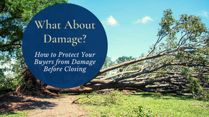 What About Damage?