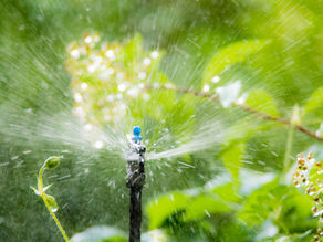 Irrigation Scheduled Shut Off