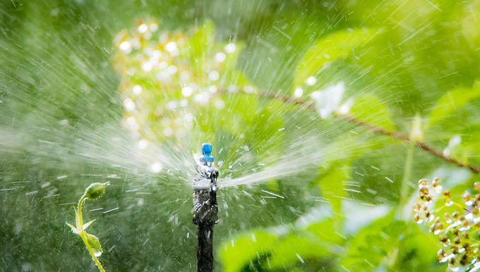 Irrigation Scheduled Shut Off