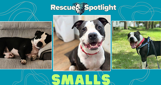 Rescue Spotlight-Smalls.png