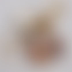 うちの子ロケットチャーム✰完成