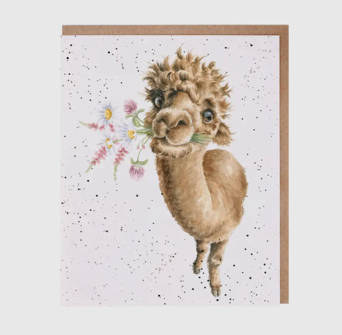 Birthday Cards - Alpaca 