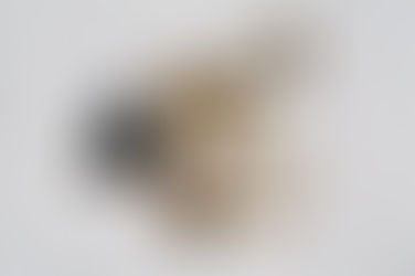 うちの子ロケットチャーム☆完成