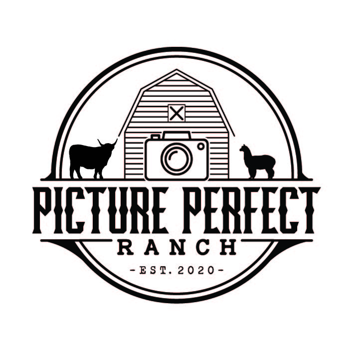 Writer: Picture Perfect Ranch