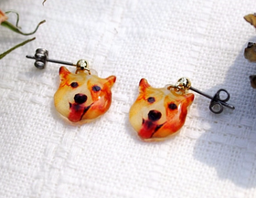 うちの子　お顔ピアスについて