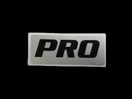 stihl pro