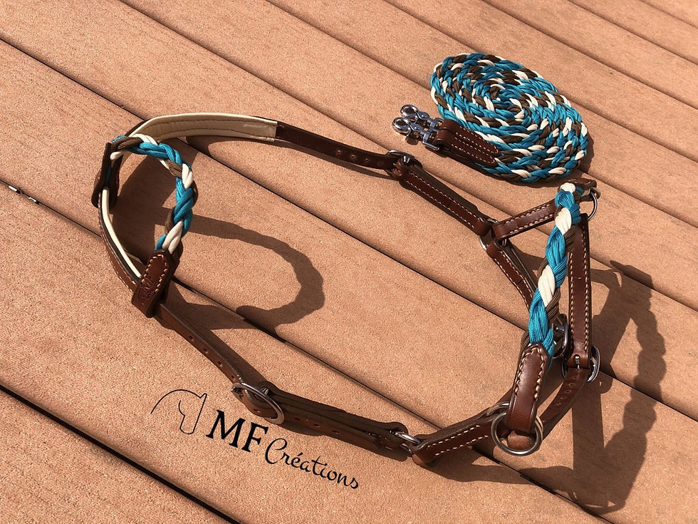 Miniature : Side pull Cheyenne confort