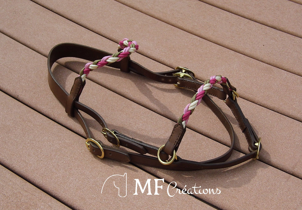Miniature : Side pull Cheyenne