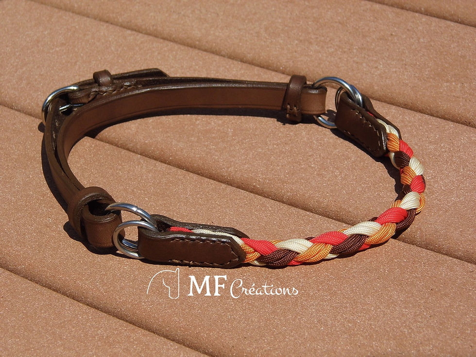 Miniature : Muserolle Cheyenne