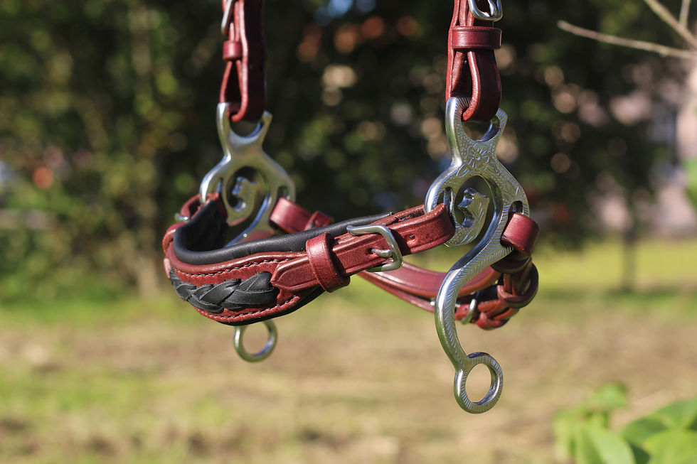 Miniature : Hackamore Uranus