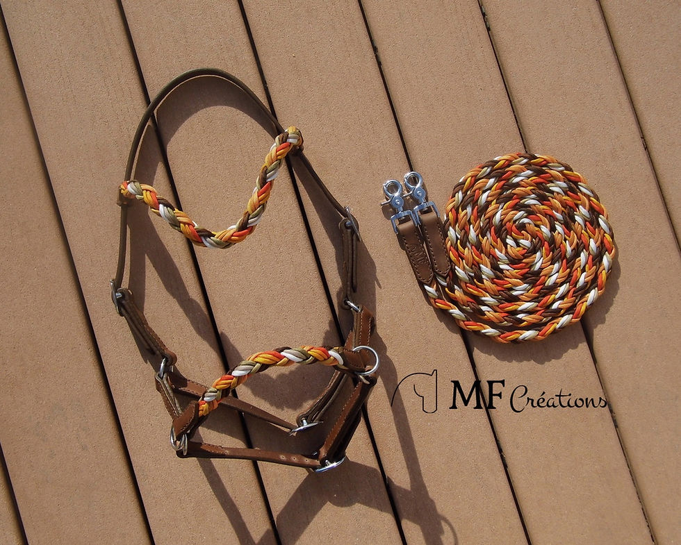 Miniature : Side pull Cheyenne confort