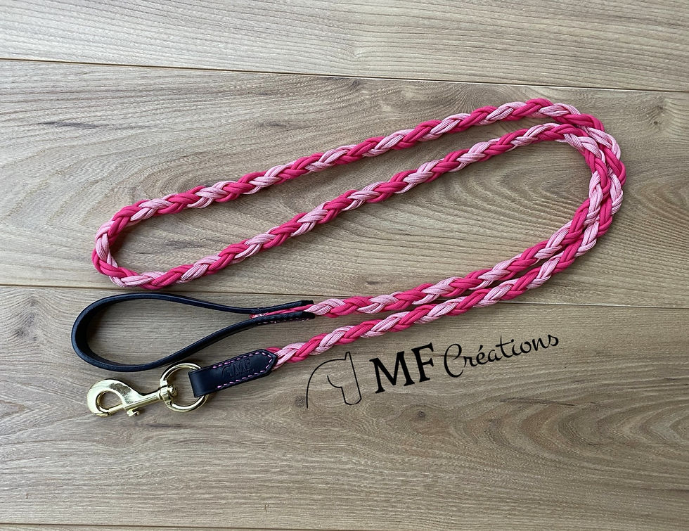 Miniature : Laisse Cheyenne
