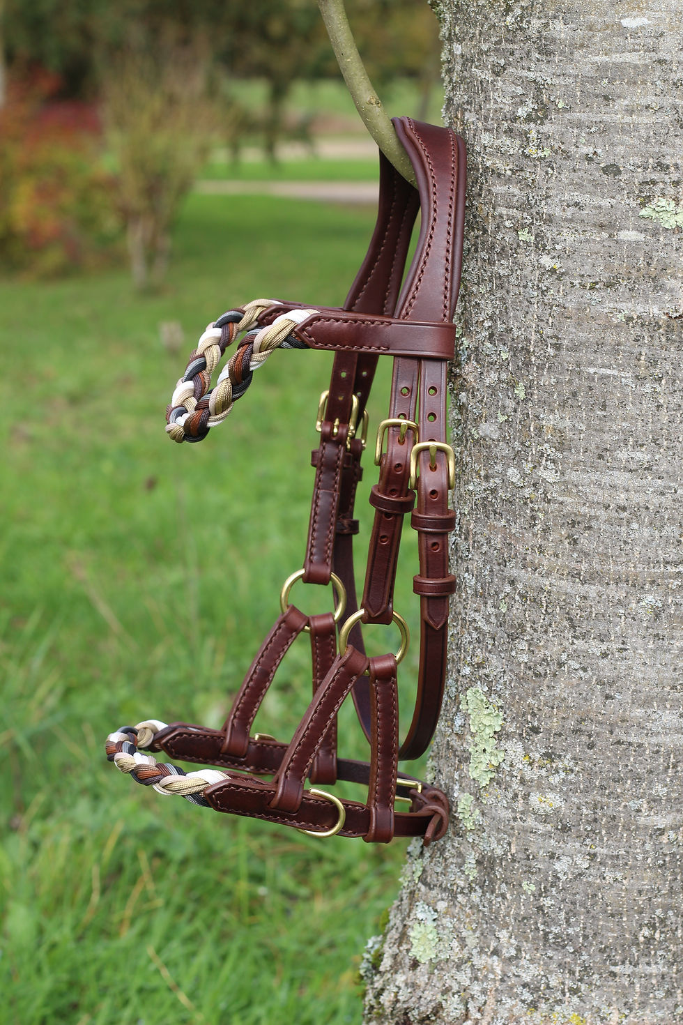 Miniature : Side pull Cheyenne confort branches V 