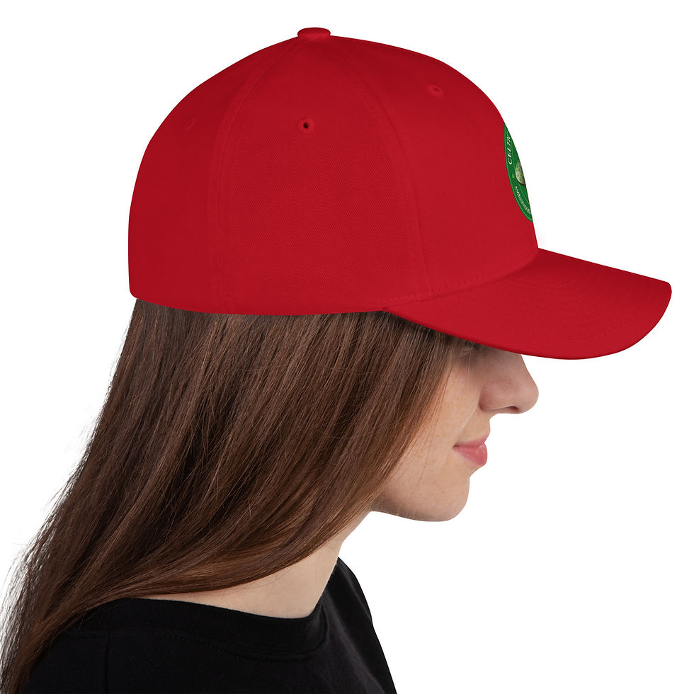 Thumbnail: Celtic Space Force Cap