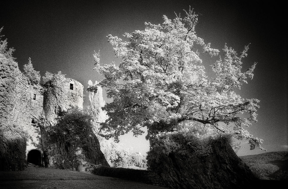 castle Montpreis