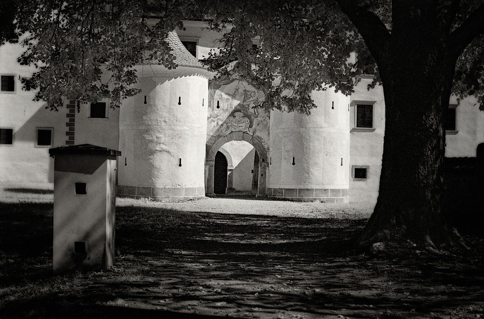 monastery Kostanjevica na Krki