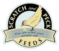 scratch-and-peck-logo