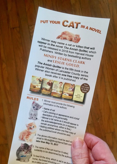 The flyer describing the prize at last year's walk.
