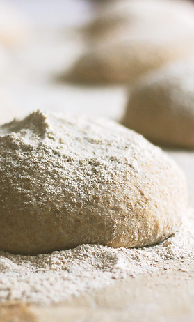 Pizza Dough