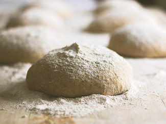 Pizza Dough