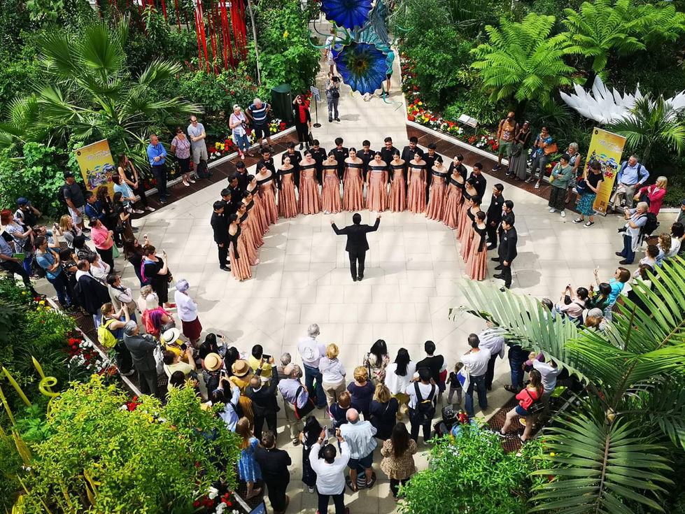 65950518_10156568497218014_8842506560522420224_n