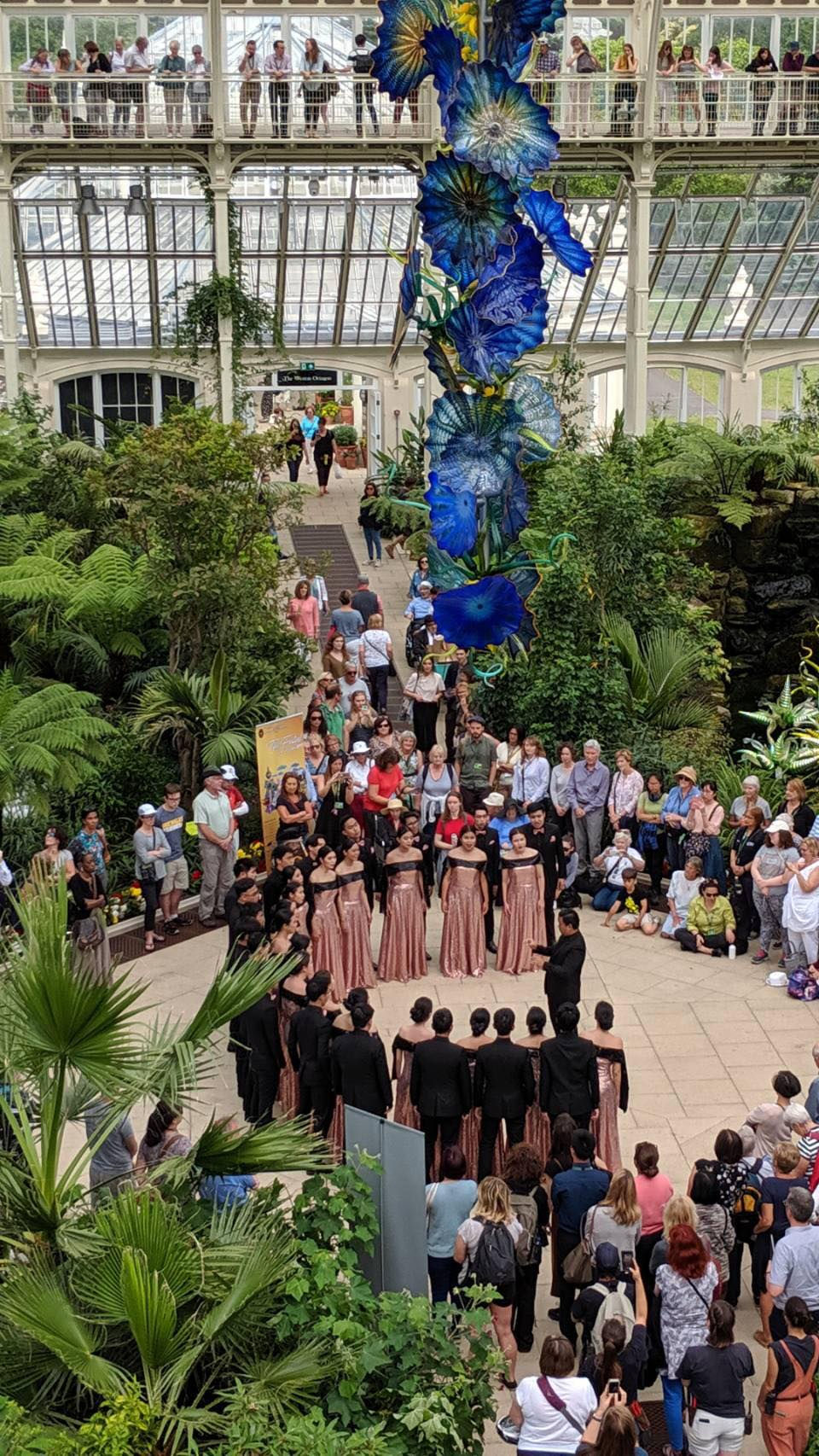 66482437_10156568497603014_6029472057324994560_n