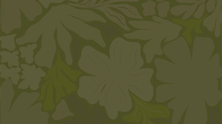 Header Image.jpg