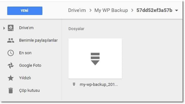 Wordpress yedek alma google drive ekrani