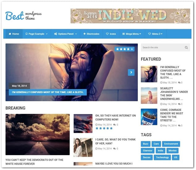 Wordpress blog teması best
