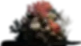 Olant copy.webp