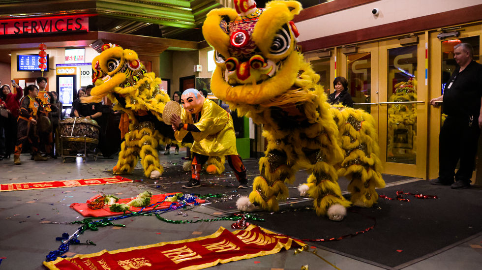 Yellow Lions
