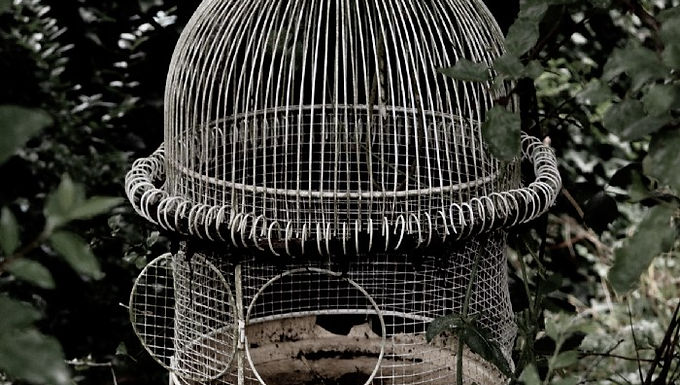 Escape