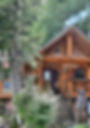 Treehouse Harrison