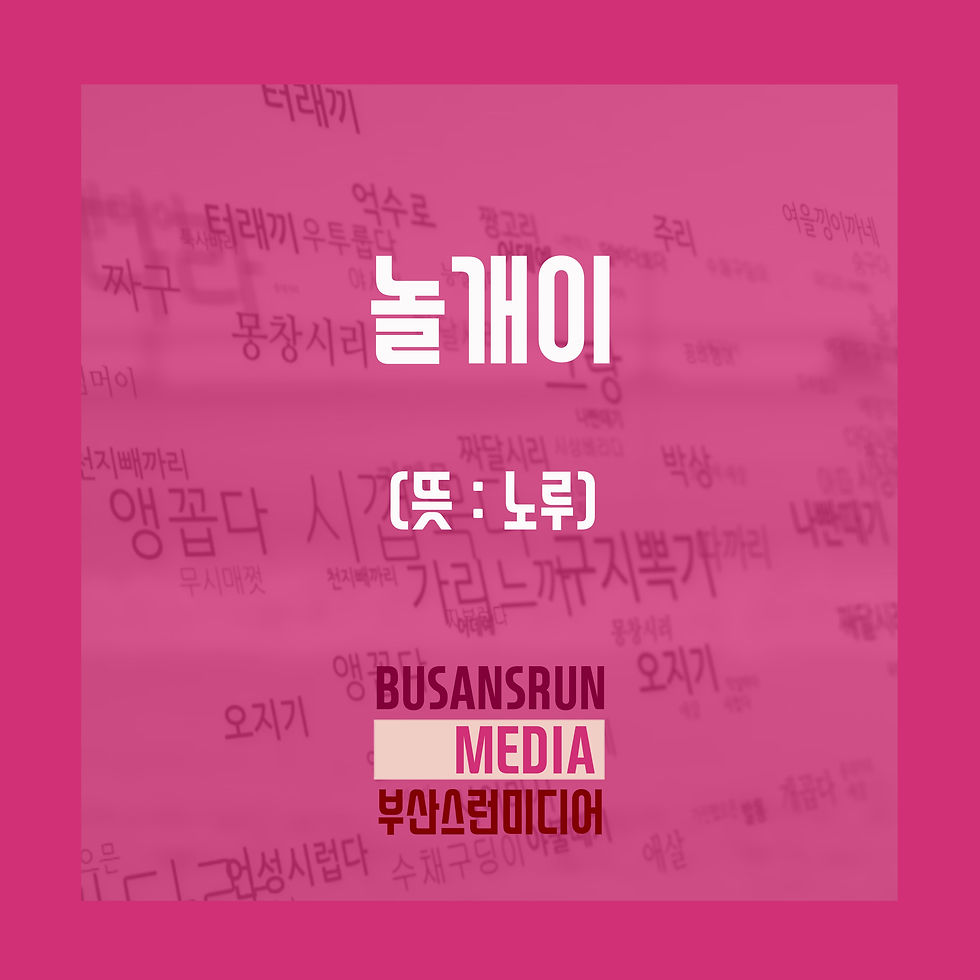 놀개이