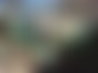 山梨県・ぴたらファームさんでパーマカルチャー&タイ料理イベントがあります