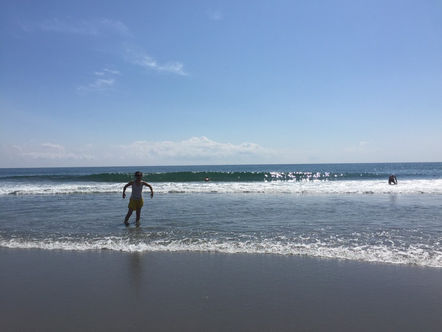 2018カレンダー&わたしの手帖⭐︎マーマーな農家サイトで販売決定!