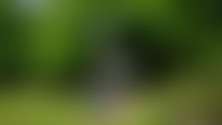 Rétrospective #7 | LE MAGNIFIQUE