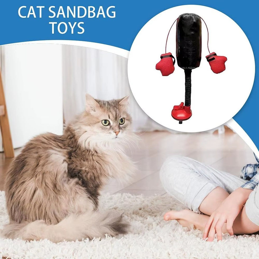 Thumbnail: Portable Cat Punching Bag Toy