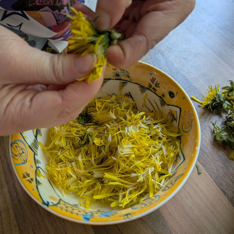 A child hands pulling apart a Dandelion flower to add the petals to a bowl.