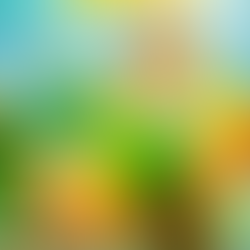 Spring Week 3 - Final Poster