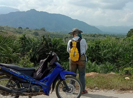 In Search of the World's Tallest Flower