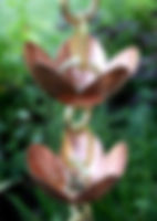 Lily Flower Cup