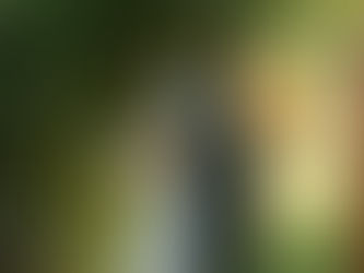 First touch moment with private vows captured by Idaho wedding photographer