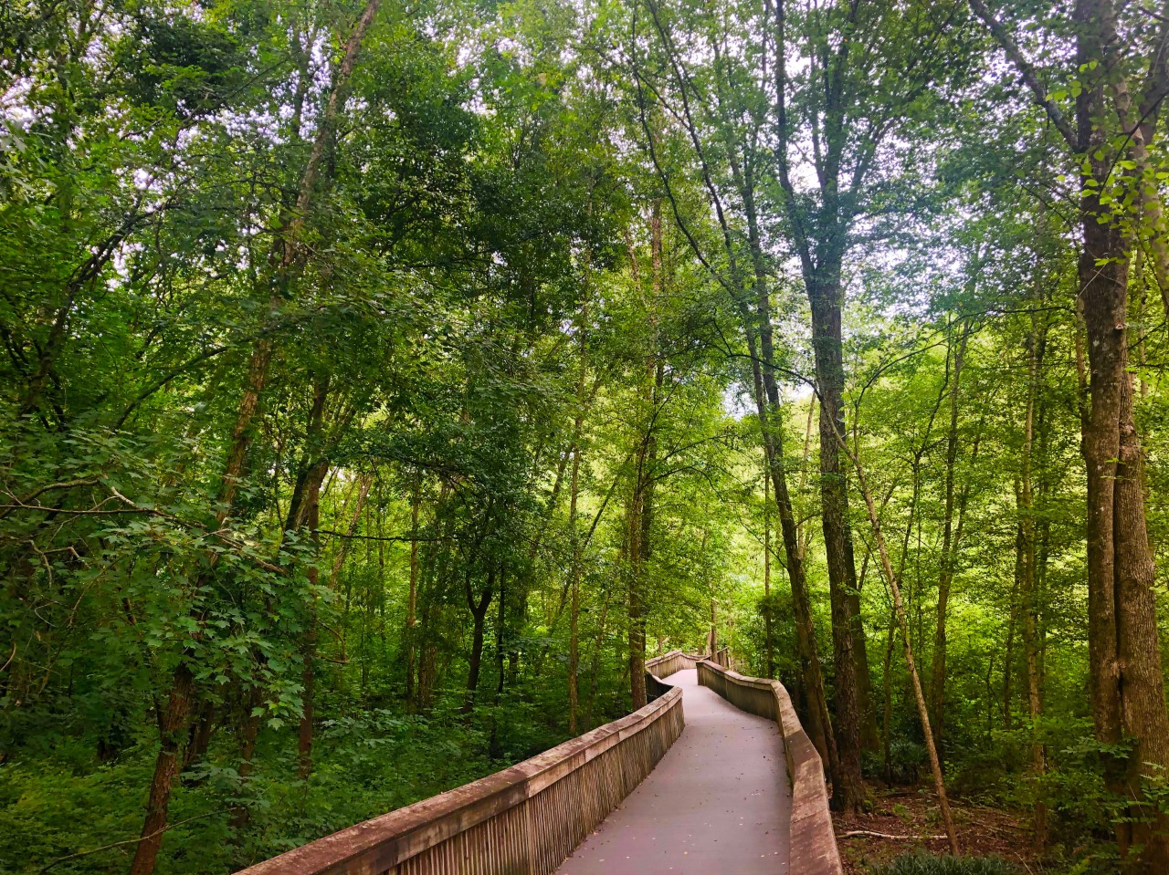 Tourism Clemson Area Chamber of Commerce, Clemson SC