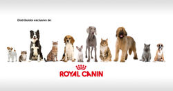 royalcanin.1